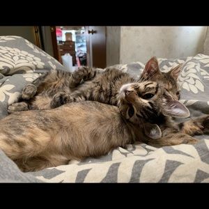 Meet your Posher, Haley